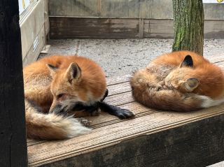 Three-day and two-night self-driving tour