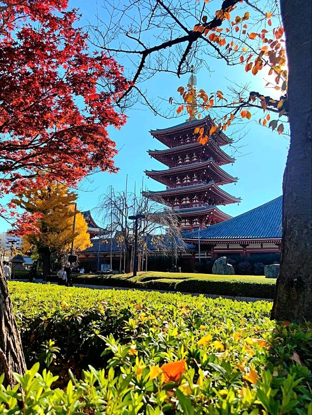 Crimson and Golden Serenity at Sensō-ji