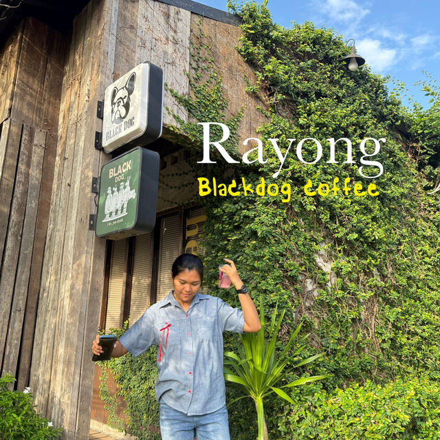 BLACKDOG COFFEE อำเภอแกลง จังหวัดระยอง