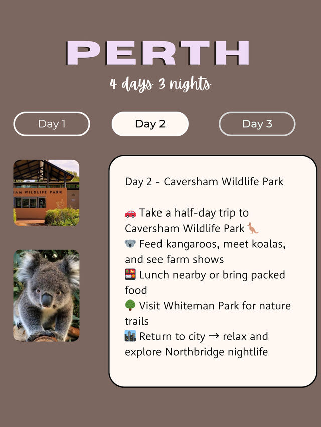Budget Perth tips🪙
