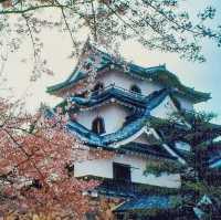 The Gentleman's Fortress: My Solo Visit to Hikone Castle, Shiga