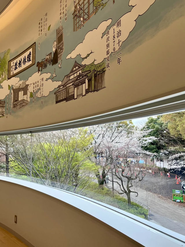 🏞️ Heritage Stroll at Asukayama Park