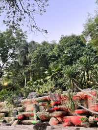 🌳都会のオアシスで深呼吸|Perdana Botanical Garden(ペルダナ植物園)