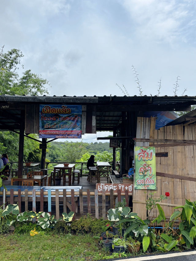 กะเพราหลักสิบ กับวิวหลักล้าน ที่กะเพราลอยฟ้า น่าน