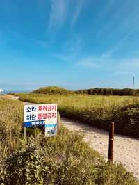 The Beloved 'Conan Beach' Vibe