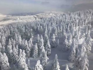 장엄한 자오 수빙의 절경