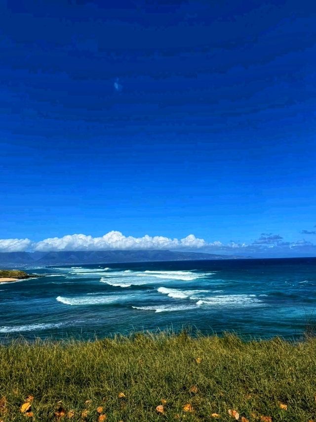 🌺 Hana – Maui’s Hidden Tropical Haven