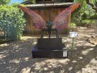 Tucson Botanical Gardens