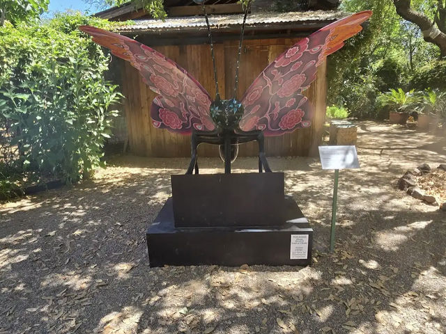 Tucson Botanical Gardens