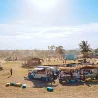 🎶 Get Ready for Wonderfruit Festival Pattaya 2025