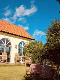 Jeju Ae-in Tangerine Farm (제주에인감귤밭) – An Immersive Citrus Sanctuary