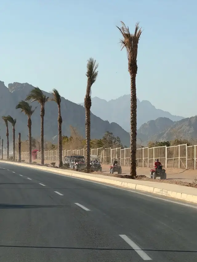 🌴 Hành trình 1 đêm 2 ngày tại Sharm El Sheikh 🐪