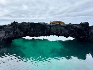 Discover Hidden Depths of Galápagos Beauty