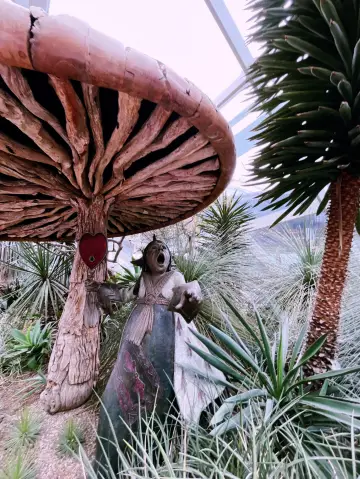 Desert Wonders at Flower Dome: A Must-Visit Insta Spot