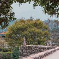 천천히 성길 오르고, 감나무 앞에서 가을 사진 한 컷