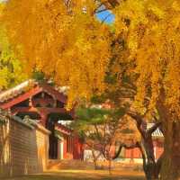 🏛️ Jongmyo Shrine – Seoul’s Timeless Confucian Heritage