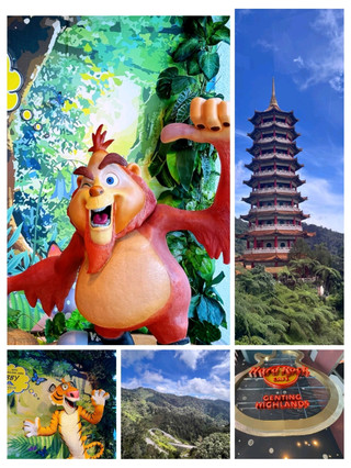 #gentingattractions
🌄 Magical Escape to Genting Highlands, Malaysia 🇲🇾✨

Nestled high above the clouds, Genting Highlands is Malaysia’s very own hilltop paradise! 🏞️ Known as the “City of Entertainment,” this mountain resort offers a perfect blend of adventure, fun, and luxury.

🎡 Major Attractions:

Genting SkyWorlds Theme Park – Thrill-seekers’ haven with world-class rides 🎢

SkyAvenue Mall – Endless shopping, dining & entertainment 🛍️🍜

Chin Swee Caves Temple – Peaceful retreat with panoramic mountain views ⛩️

Genting Cable Car (Awana Skyway) – Stunning scenic ride above the rainforest 🚠

Resorts World Casino – Experience Malaysia’s only legal casino 🎲


🛎️ Accommodation:
Stay at top hotels like Genting Grand, First World Hotel, or Crockfords, all offering luxurious comfort above the clouds ☁️

🚗 How to Reach:
Just 1.5 hours from Kuala Lumpur by car or bus. The cable car from Awana Station offers a breathtaking final ride to the top.

📅 Best Time to Visit:
Throughout the year! But for the best experience, visit between March to September for clear skies and cool weather.

#travel #thingstodo #familytravel #couplestrip #staycation