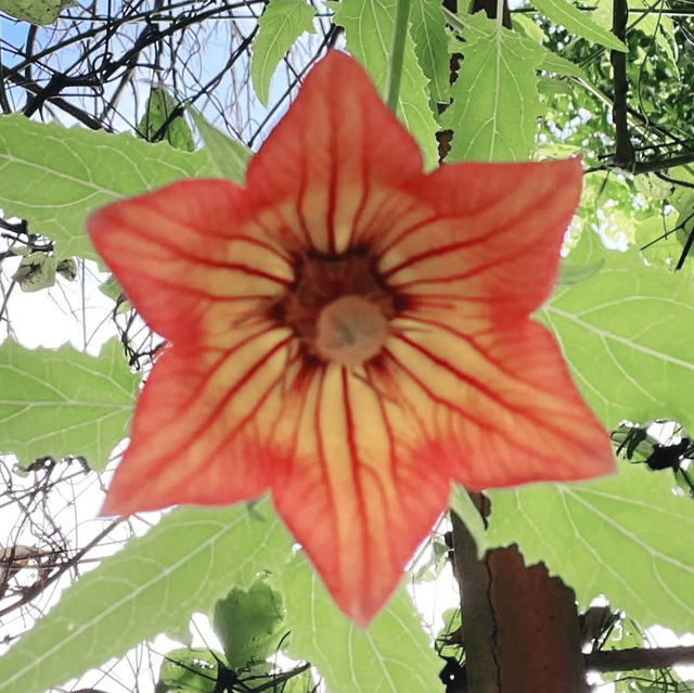 A Jungle in the Mediterranean: Family Adventure at Val Rahmeh Garden