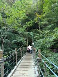 米其林三星的秋日絮語～滿山紅葉的高尾山