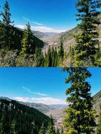 숲이 숨겨둔 신비로운 물결을 만난 하루