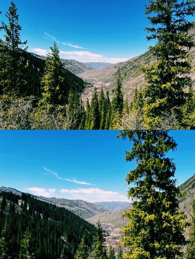 숲이 숨겨둔 신비로운 물결을 만난 하루 숲이 숨겨둔 신비로운 물결을 만난 하루