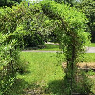 The Huntington Library, Art Museum, and Botanical Gardens