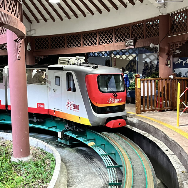 Zhangjiajie National Forest Park — East Gate One-Day Route That Actually Works Zhangjiajie National Forest Park — East Gate One-Day Route That Actually Works