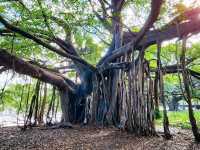 Beautiful park excellent for walking, nature, birdwatching and relaxing. Not many flowers more landscapes and beautiful trees.