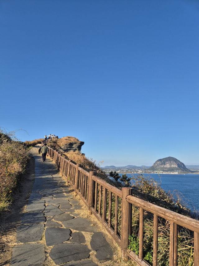 ☀️ 제주 송악산 둘레길, 한 바퀴로 만나는 서귀포 풍경 🌊