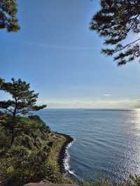 ☀️ 겨울의 제주 송악산 둘레길에서 만난 고요한 풍경 🌿