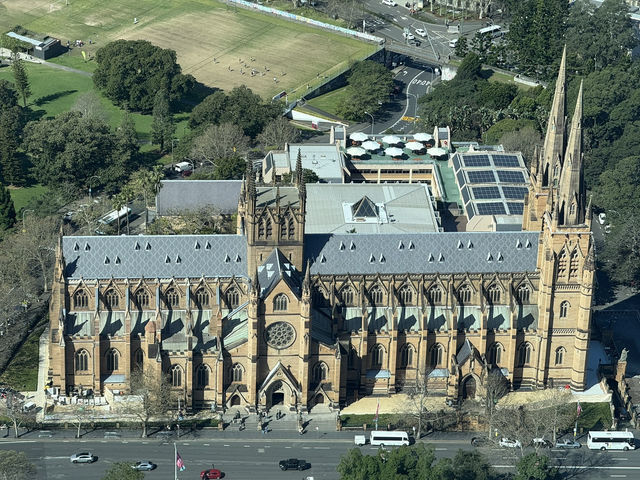 Sydney Signs Tripcom🏙️
