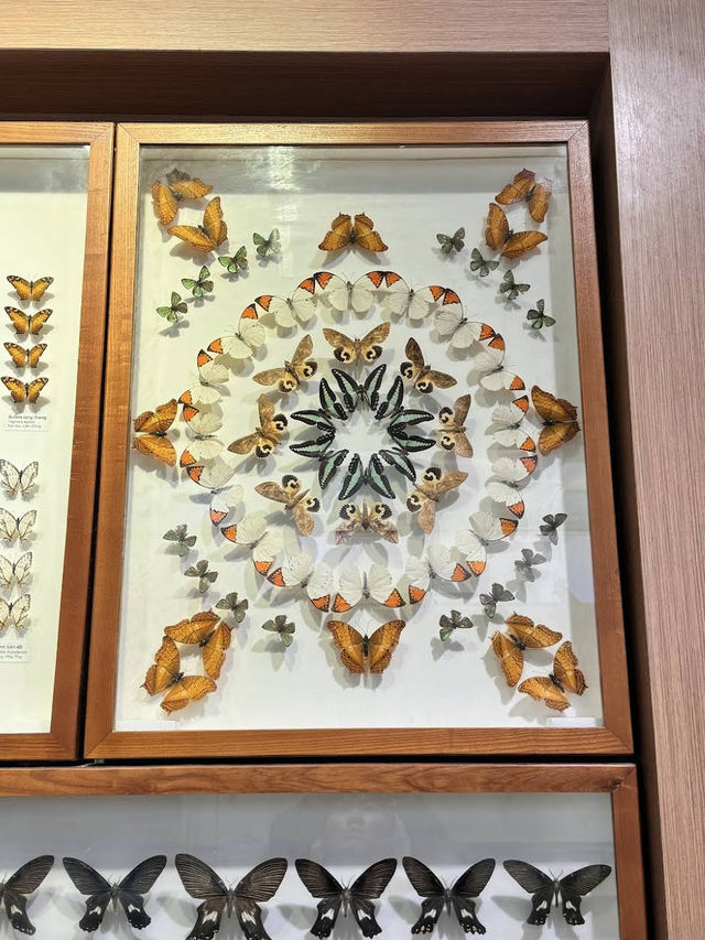 🌿 Vietnam National Museum of Nature — Exploring Vietnam’s Natural Wonders 🌿 Vietnam National Museum of Nature — Exploring Vietnam’s Natural Wonders