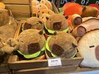 Scenic Festive Outing at Paradise Of Deer