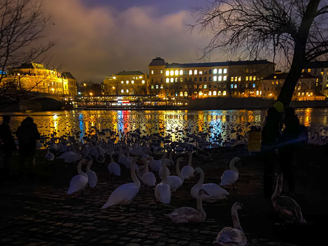 프라하성, 도시 전체를 내려다보는 중세의 시간 프라하성, 도시 전체를 내려다보는 중세의 시간