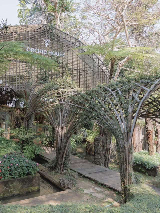 ดอยตุง จ.เชียงราย ดอยตุง จ.เชียงราย