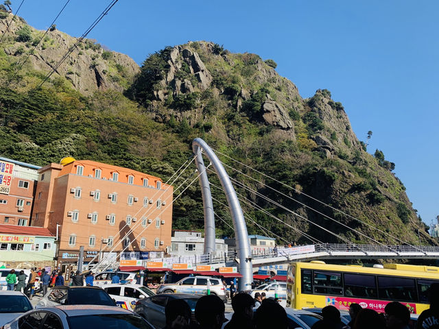 Seaside Christmas🎄 Seaside Christmas🎄