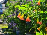 ๐ฟ Karlsruhe Botanical Garden โ Calm Paths, Glasshouses & Classic Beauty