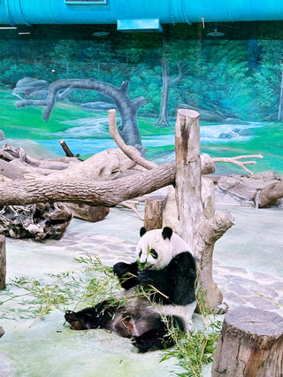 半天遊台北動物園🐾