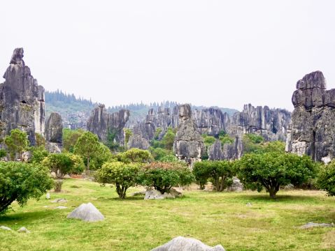 The overwhelming scale of nature: Conquering Kunming's ultimate