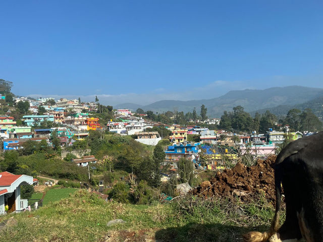 Sunny Peak Views🏡