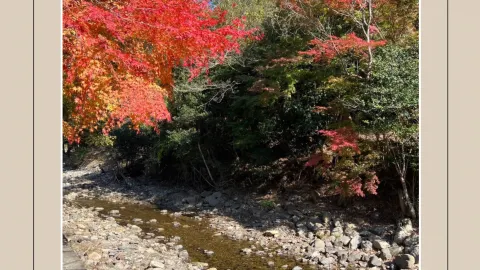 【福岡】福岡市から気軽に行ける癒し旅🚗  — traveler post in 東峰村