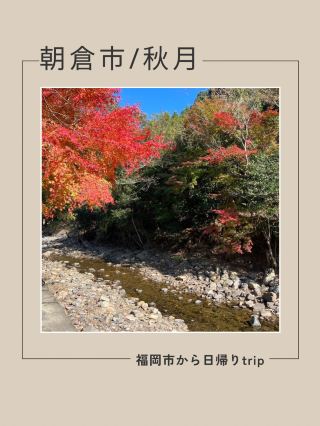 【福岡】福岡市から気軽に行ける癒し旅🚗 