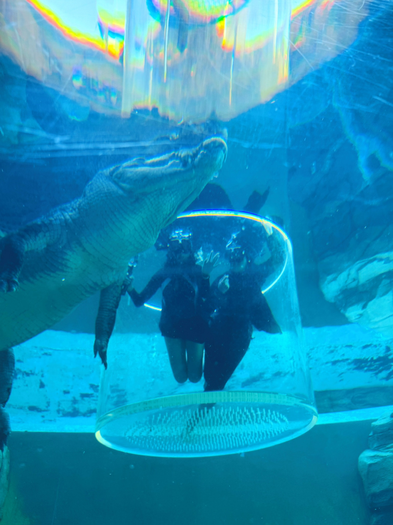 🇦🇺 เผชิญหน้ากับความกลัวของคุณในดาร์วิน 🐊 | กรงแห่งความตายที่ Crocosaurus Cove