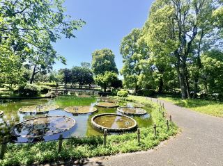 【府中市鄉土之森公園】新綠盎然的水邊療癒景點