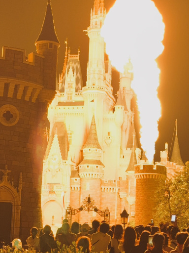 夜の東京ディズニーランド：曇り空でも最高なシンデレラ城の夜