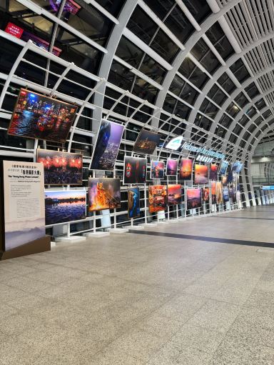 旅行者必見！香港の写真の祭典。 | Trip.com 香港