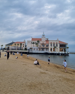 海邊的藍海豹美食