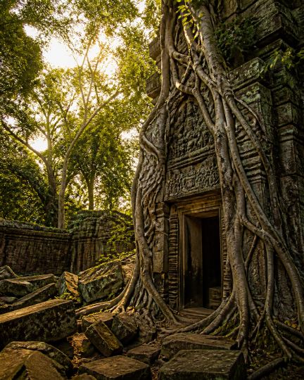 巨木に飲み込まれた神秘の寺院 ―― しかし、タ・プロームを「映える写真