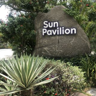 A Desert Oasis Under the Singapore Sun — Discover the Cactus Garden at Gardens by the Bay!