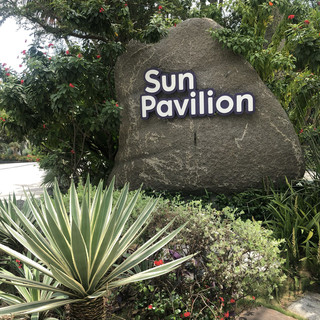 A Desert Oasis Under the Singapore Sun — Discover the Cactus Garden at Gardens by the Bay!